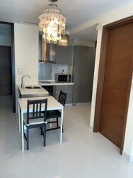 The Suites At Central (D9), Condominium #457227101